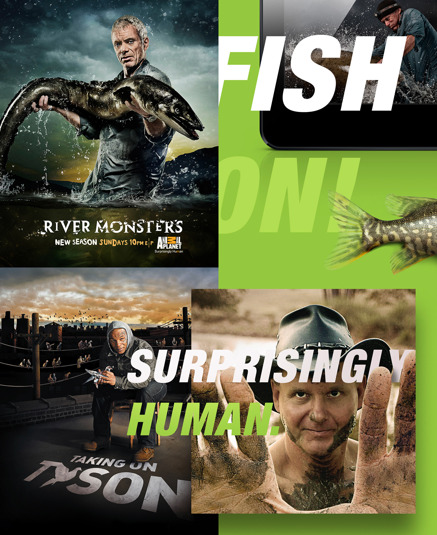 discovery Discovery Channel Animal Planet television broadcast keyart Shark Week shark fish comite network Gold Rush reality brand