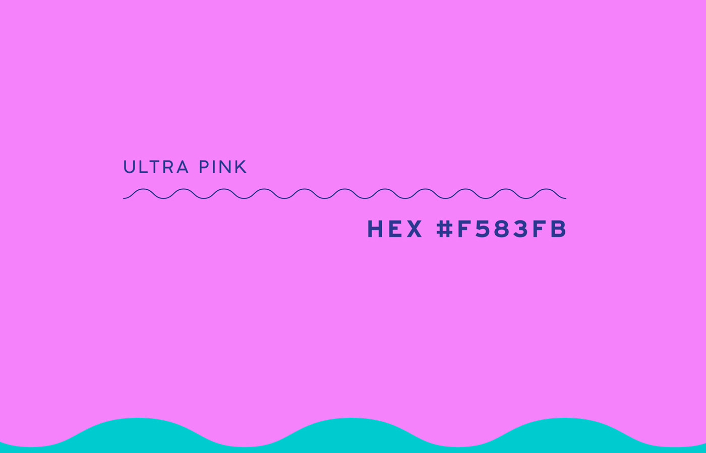 branding  Custom Fun graphicdesign happy hippo ILLUSTRATION  Layout look and feel minimal design Will Killen
