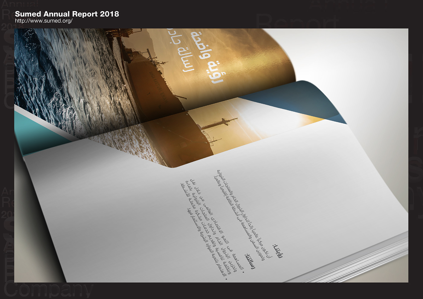 Sumed caver Adobe Portfolio annual report infographic social media UI ux data visualization Experimental Typography