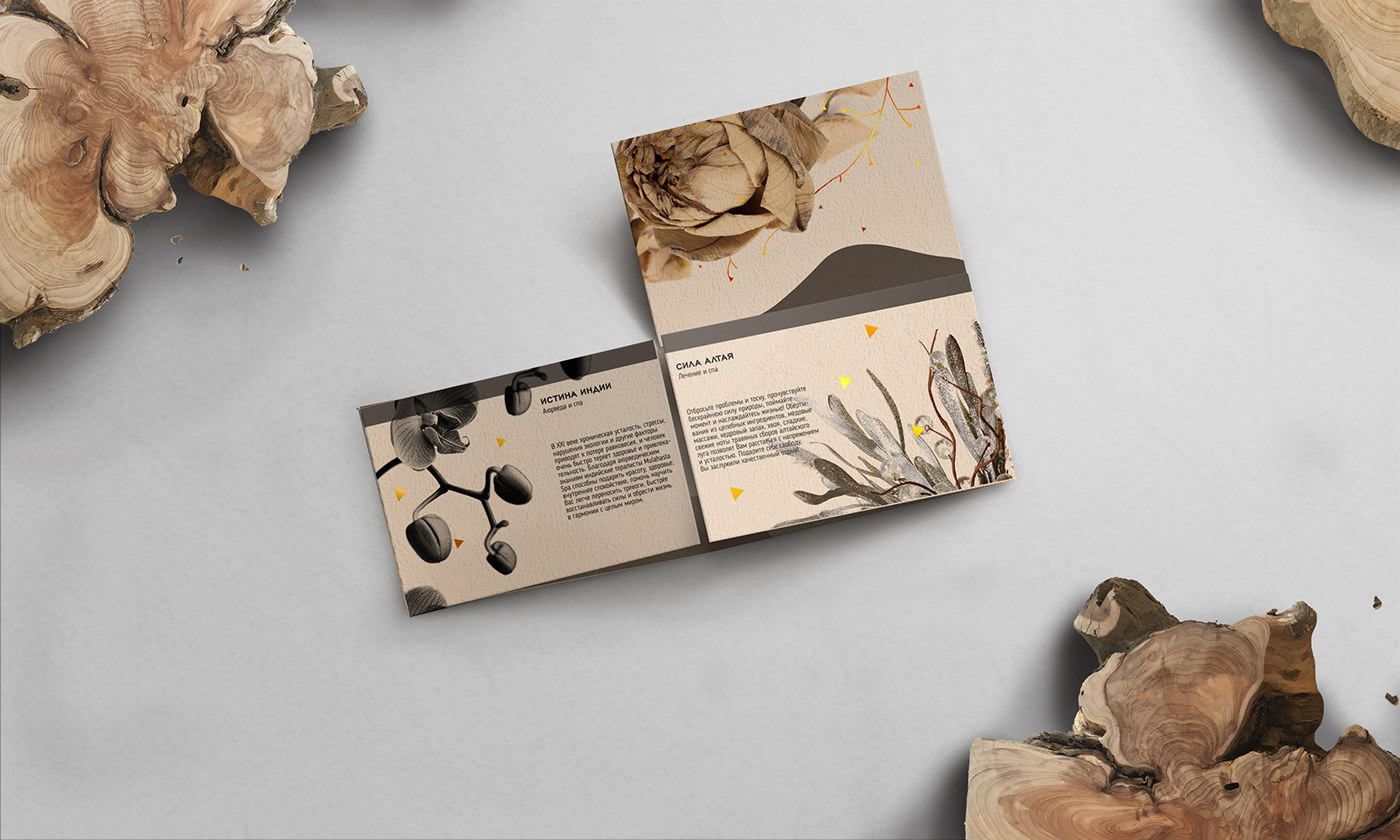 Spa Cosmetology beauty relax natural identity brochure poster flyer wood