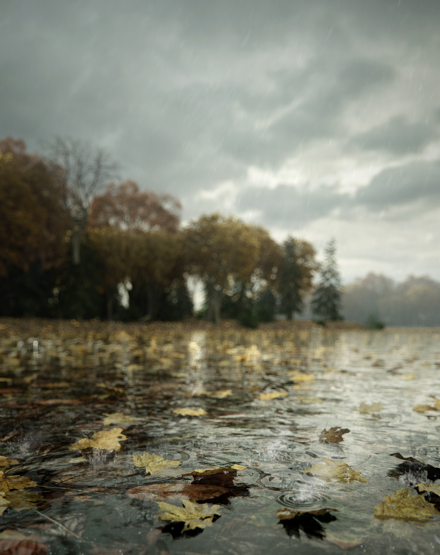 autumn autumn lake c4d cinema4d lake octane octanerender   rain realistic scatter