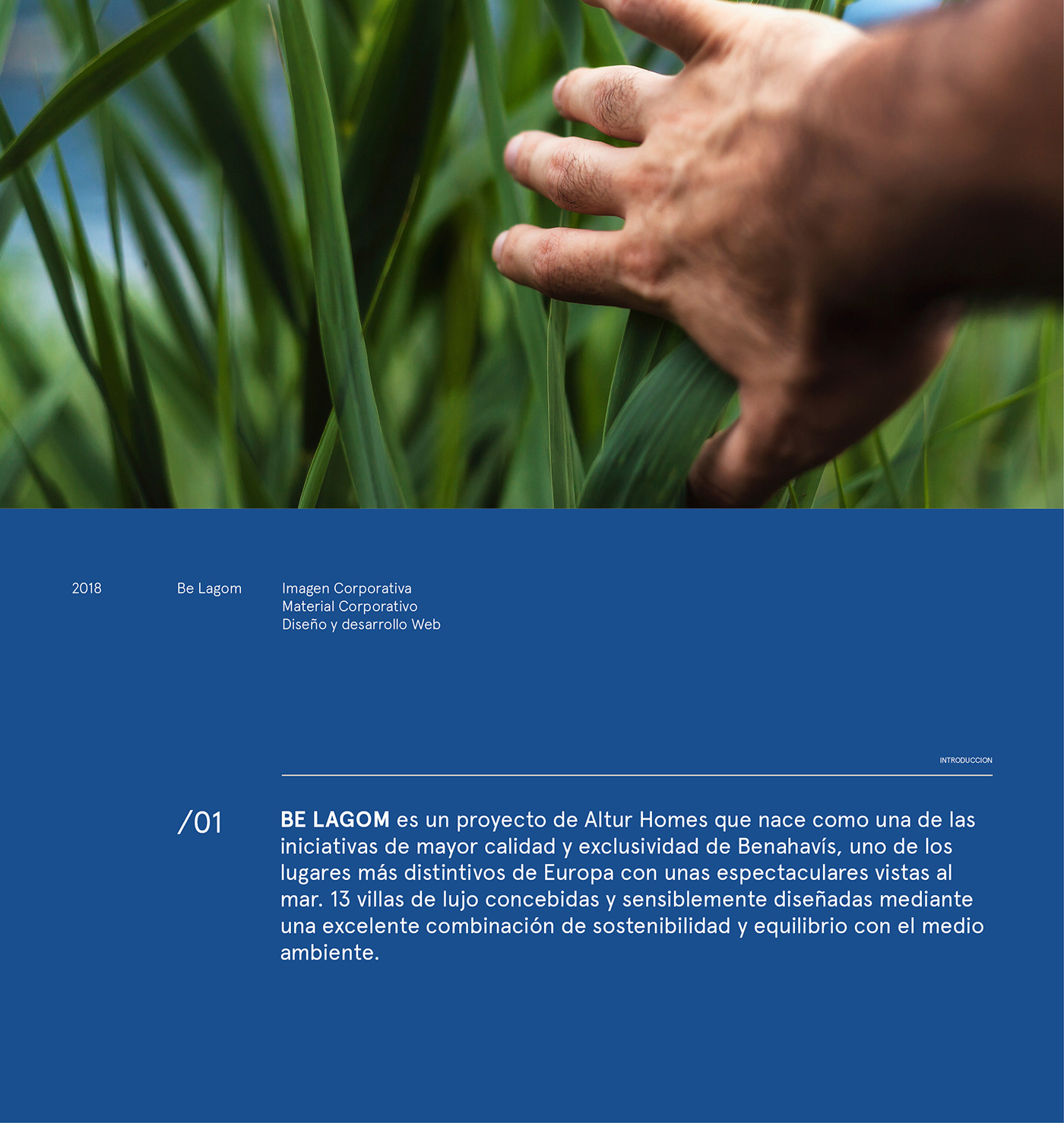 branding  Nature ecologic seed paper editorial design  Plant natural balance brochure brand