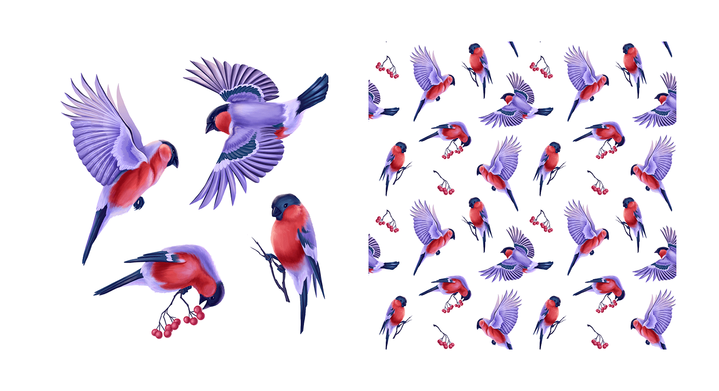 Drawing  bullfinch CG 2D Digital Art  birds wildlife Nature