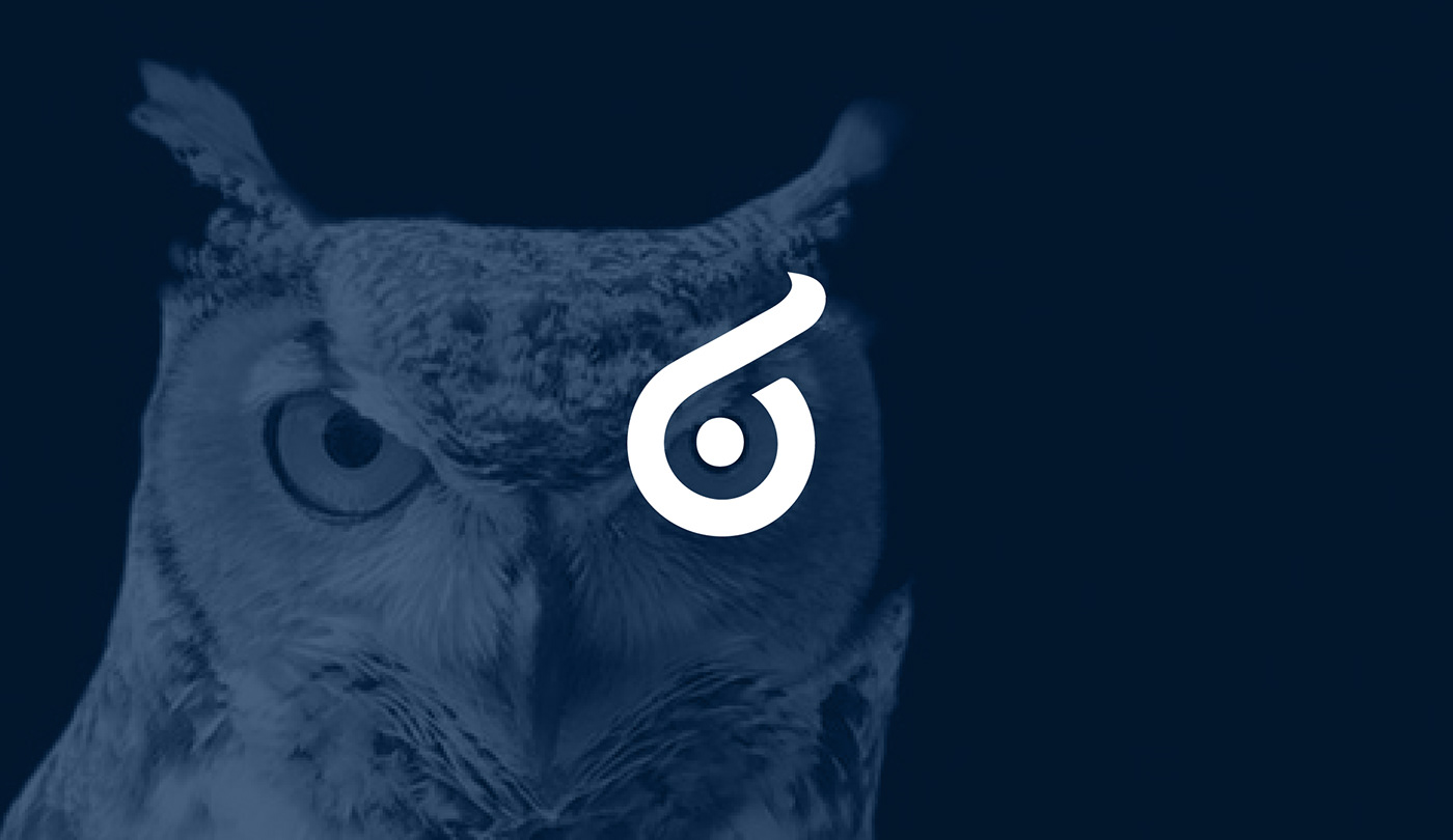 logo logomark symbol owl owl logo branding  graphic design  ID