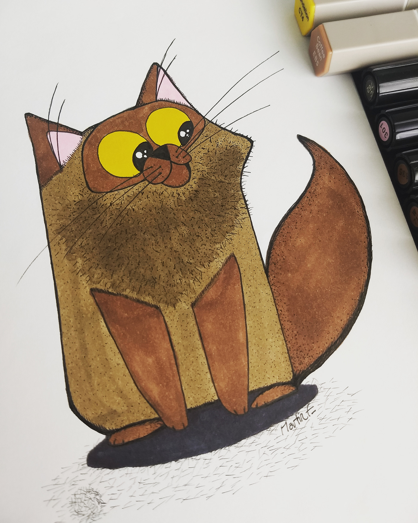 Cat furry cats Gato kitten ILLUSTRATION  draw Drawing  gatitos art