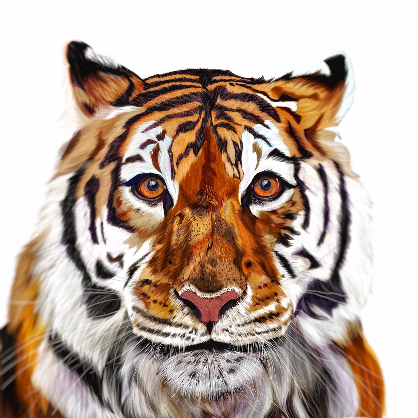 Digital Drawing ILLUSTRATION  jungle animals olbap olbapdesign tiger tigre vector wild animal
