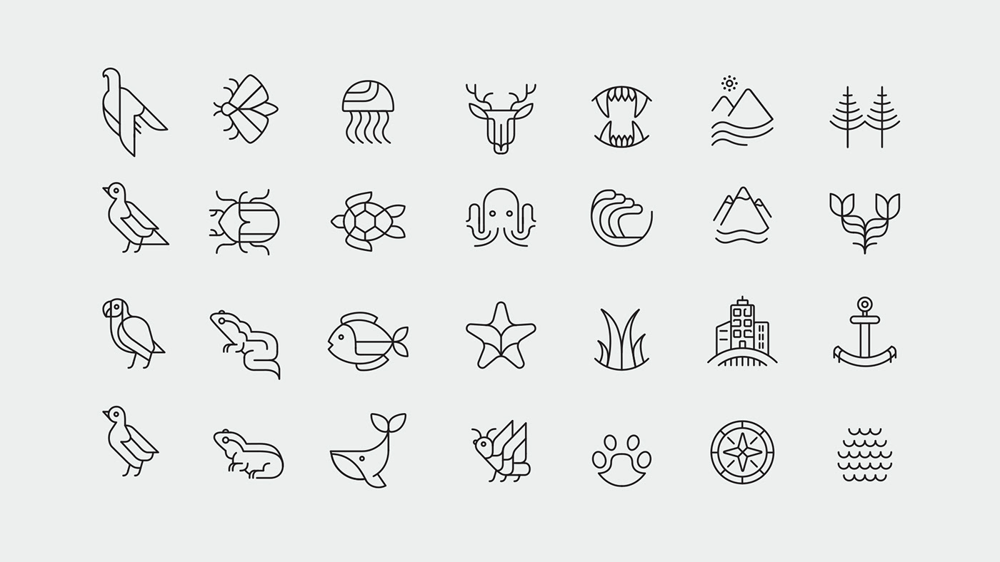 BBC davidattenborough Drawing  iconography icons identity ILLUSTRATION  letters Nature typography  