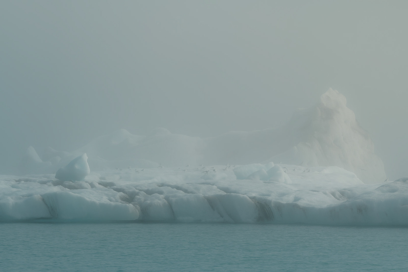 Arctic atmosphere birds fog ice iceberg iceland light Moody water