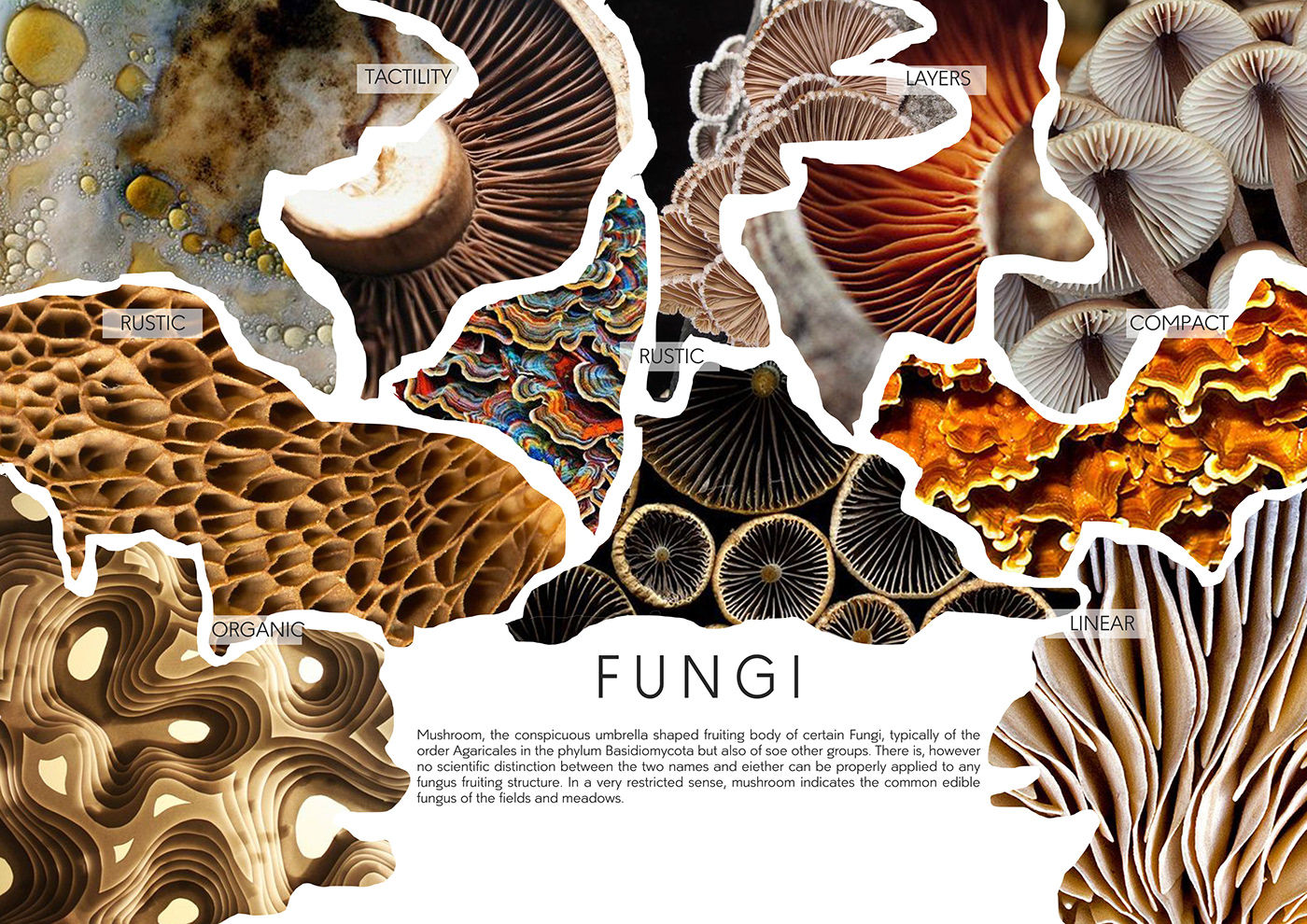 Digital Printing Embroidery Fungi home textiles inkblot Mix media mushroom surface development textile design  texture
