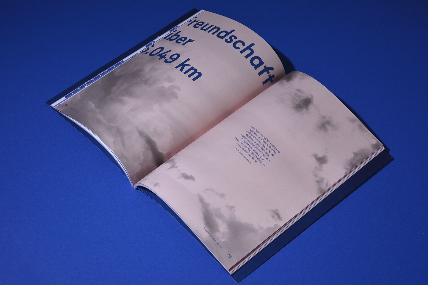 editorial Webdesign digitalization blue smartphone light lemur graphic design 