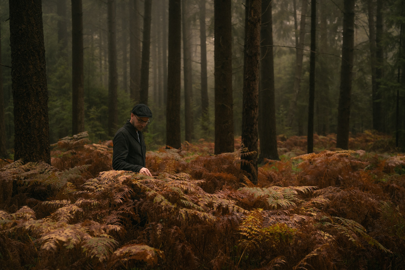 autumn forest self portrait portrait Landscape landscape photography trees Photography  cinematography cinematic