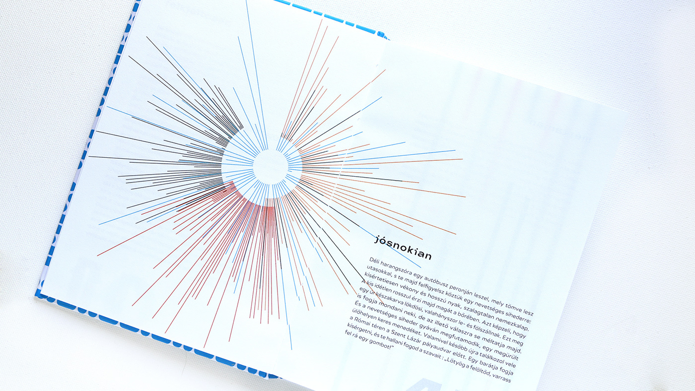 book DATAVISUALIZATION graphic design  ILLUSTRATION  raymond queneau verakovacs