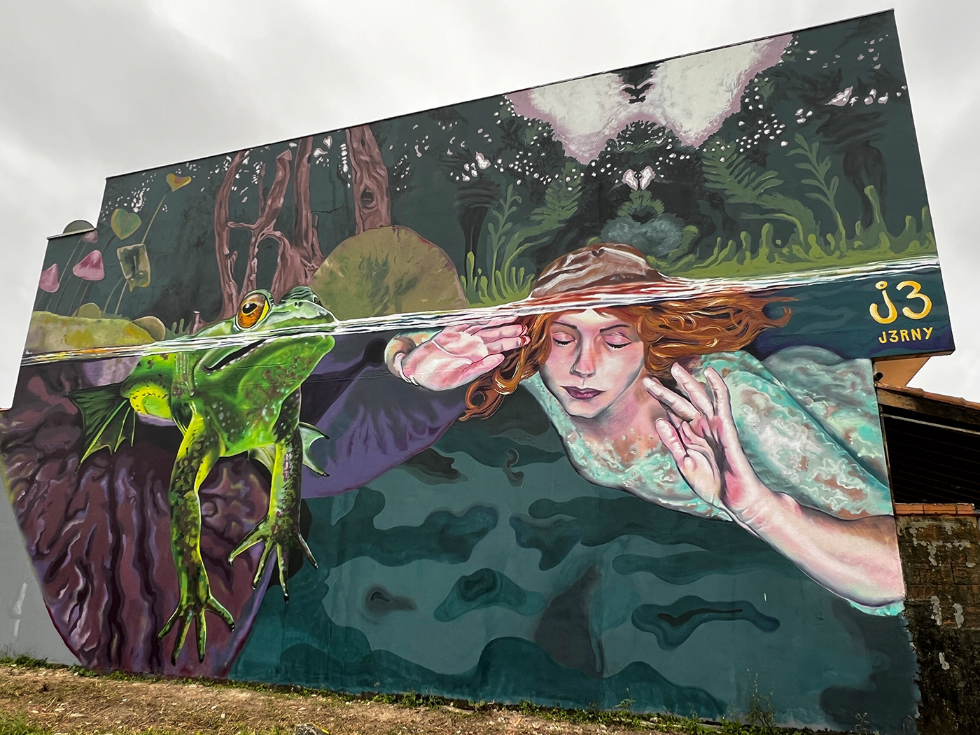 frog Mural Nature serenity spiritual streetart swimming underwater Graffiti wall art