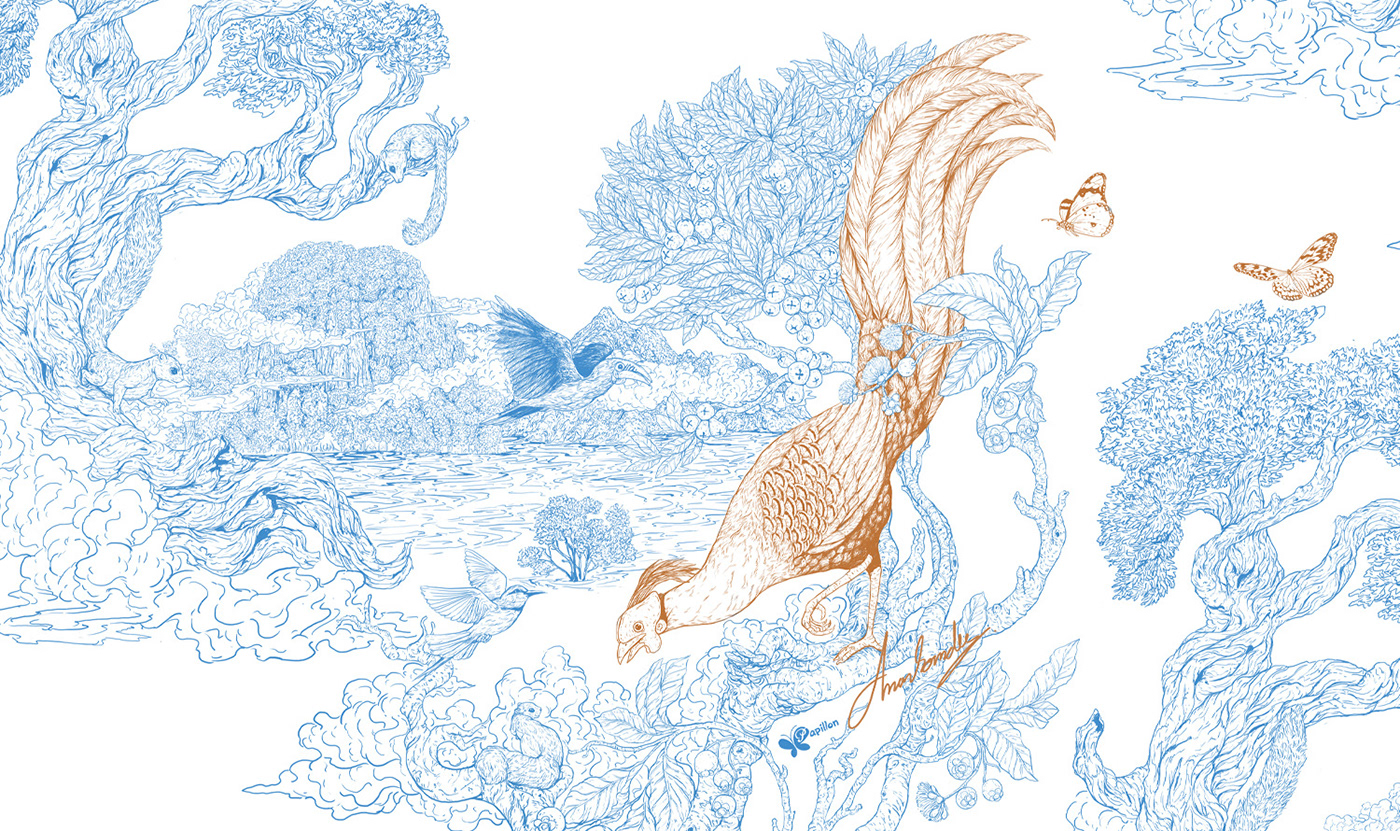 bird digital illustration Drawing  forest hornbill Nature pheasant sketch wildlife Wildlife Illustration