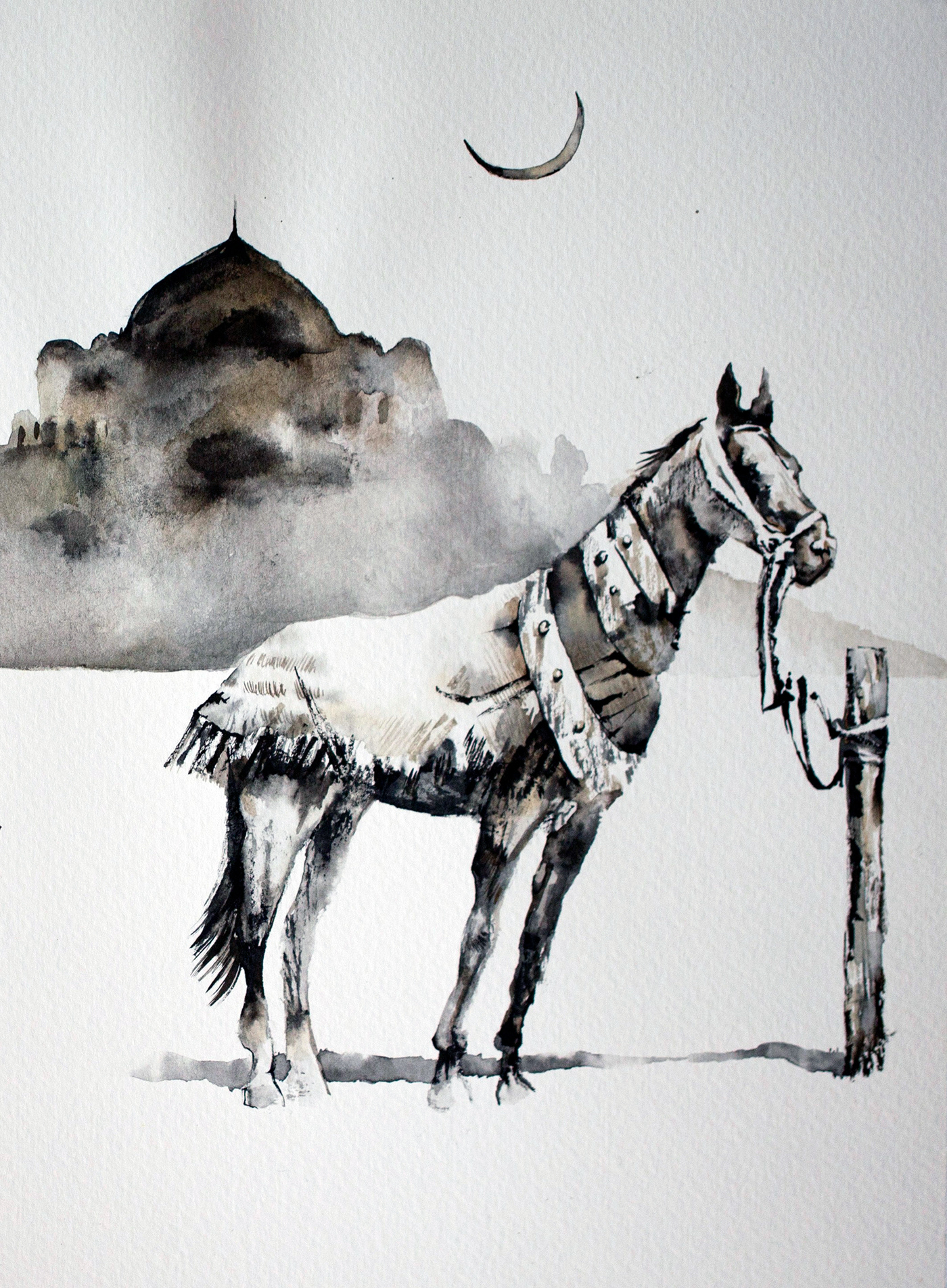 belarus ink ILLUSTRATION  book painting   commission watercolor book design analog black and white