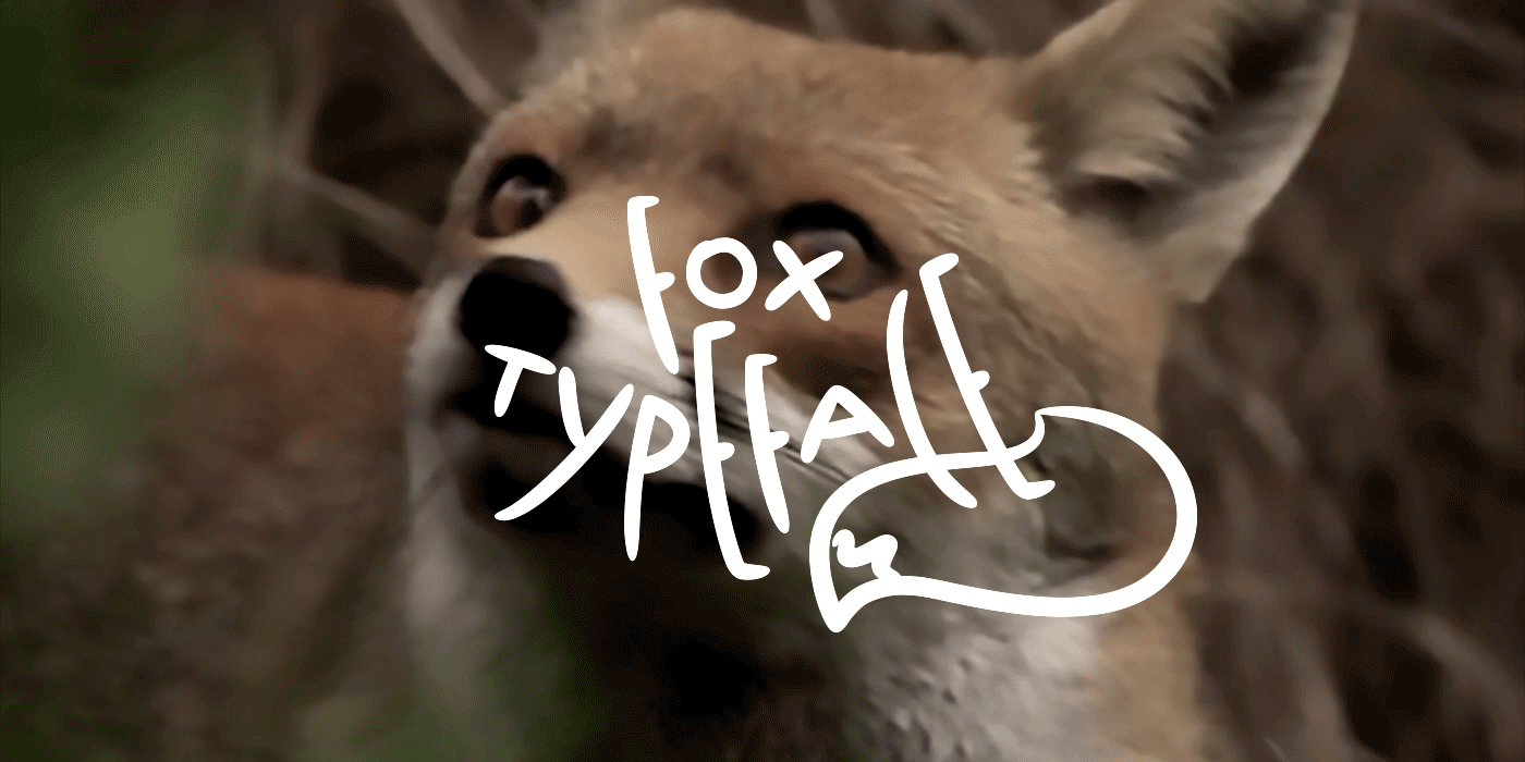 font Typeface FOX fox typeface fox font Fontself handmade typography   tereza cenic egotreep