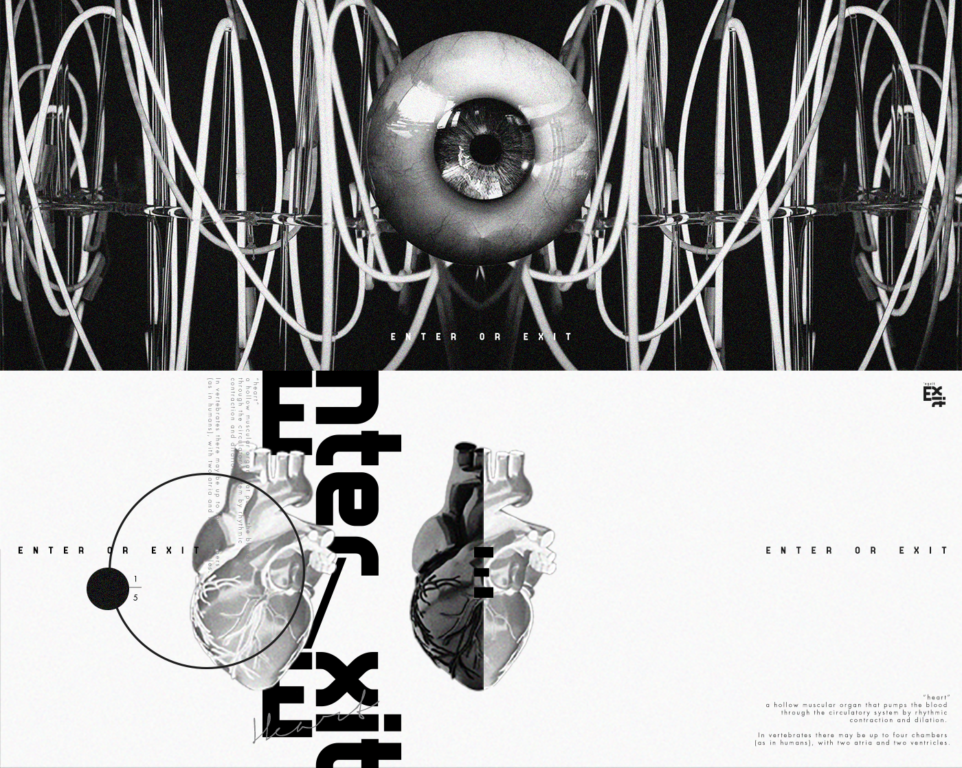 motion graphic Layout poster Sense music black and white 3d animation graphic design 