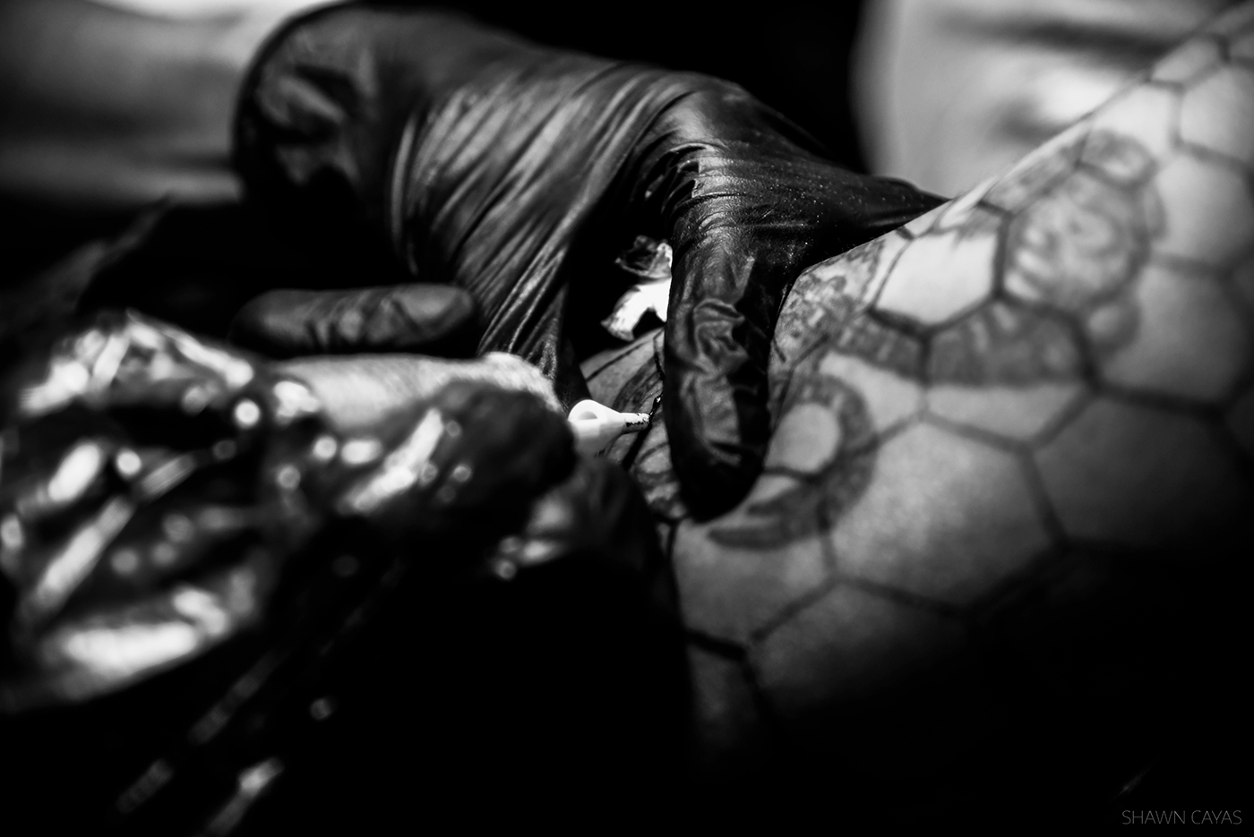 tattoo black and white ink tattoo artist art