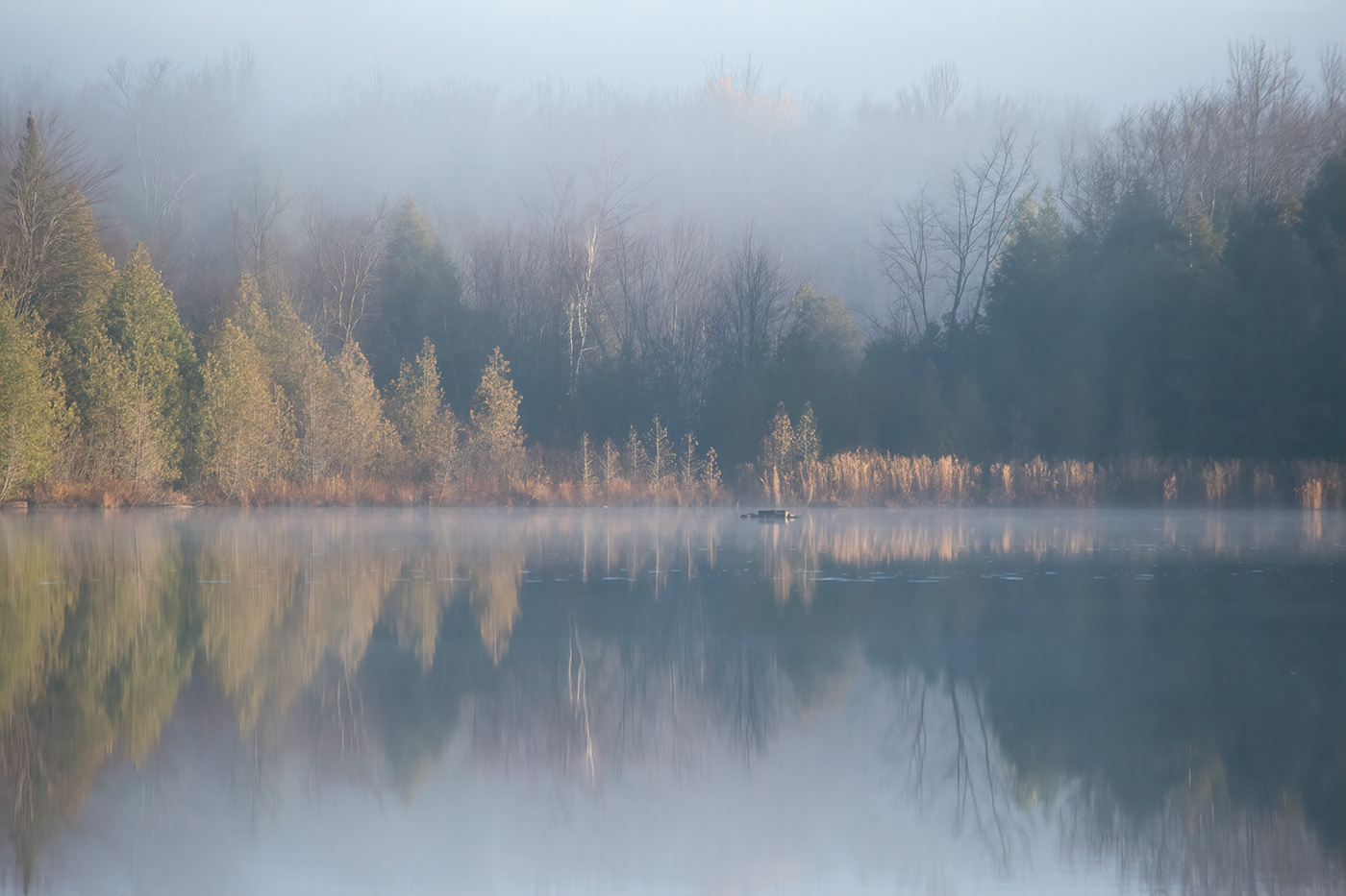 water Photography  Nature Landscape mist fog MORNING