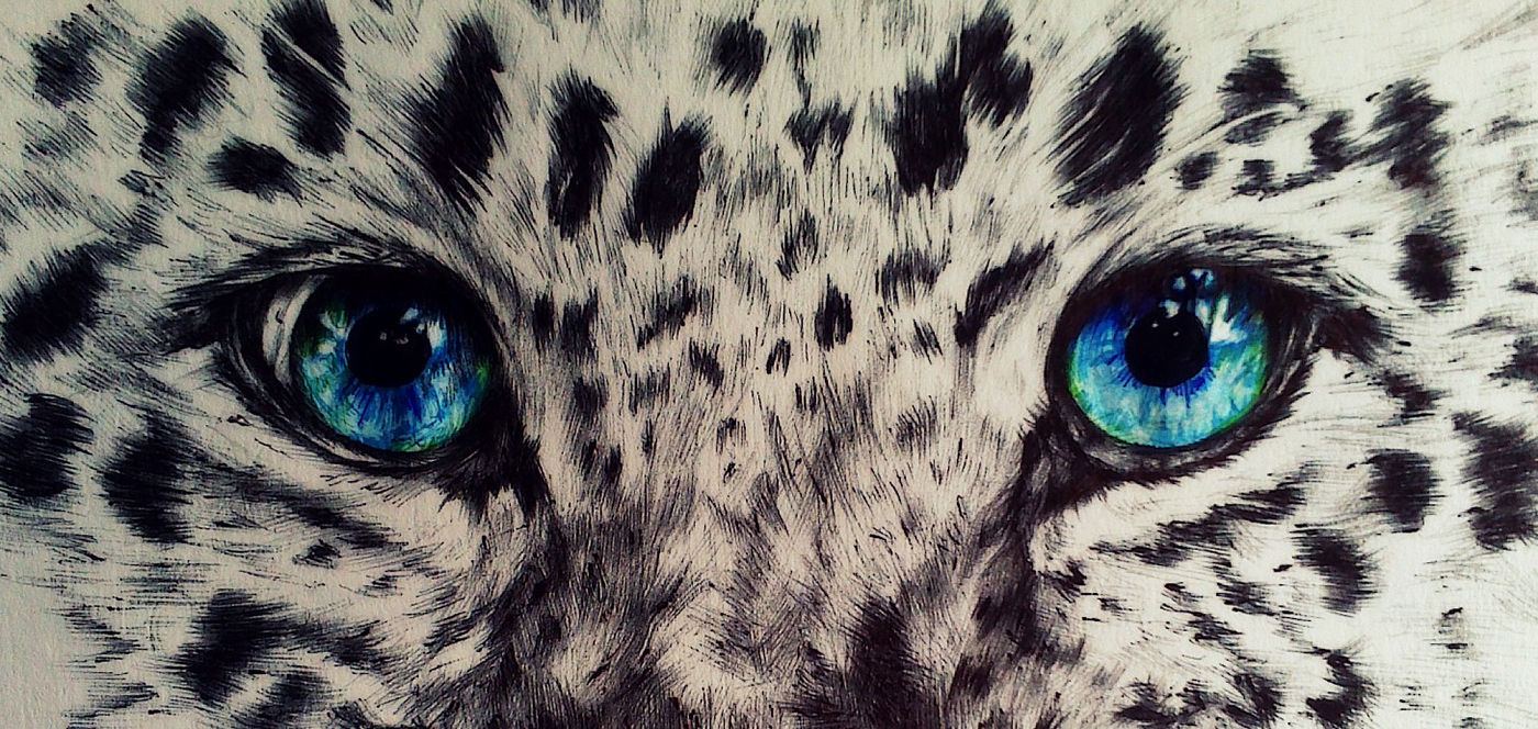 eyes Drawing  painting   ILLUSTRATION  eye leopard colour