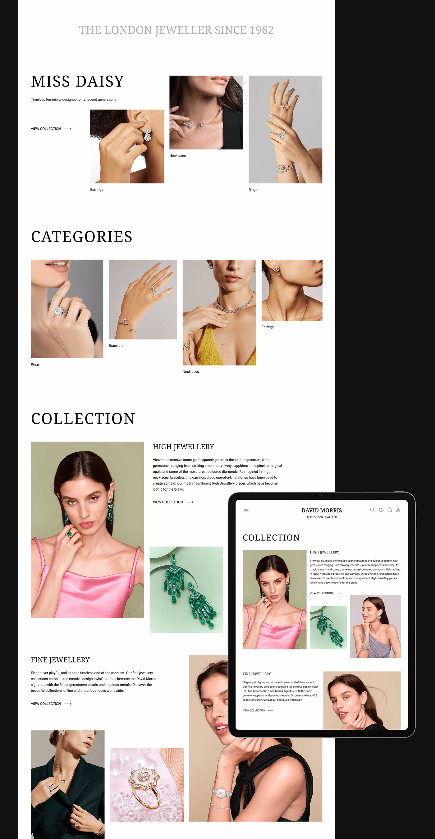 concept Jewellery Jewellery design redesign ui design UI/UX UX design Web Web Design  Website Design