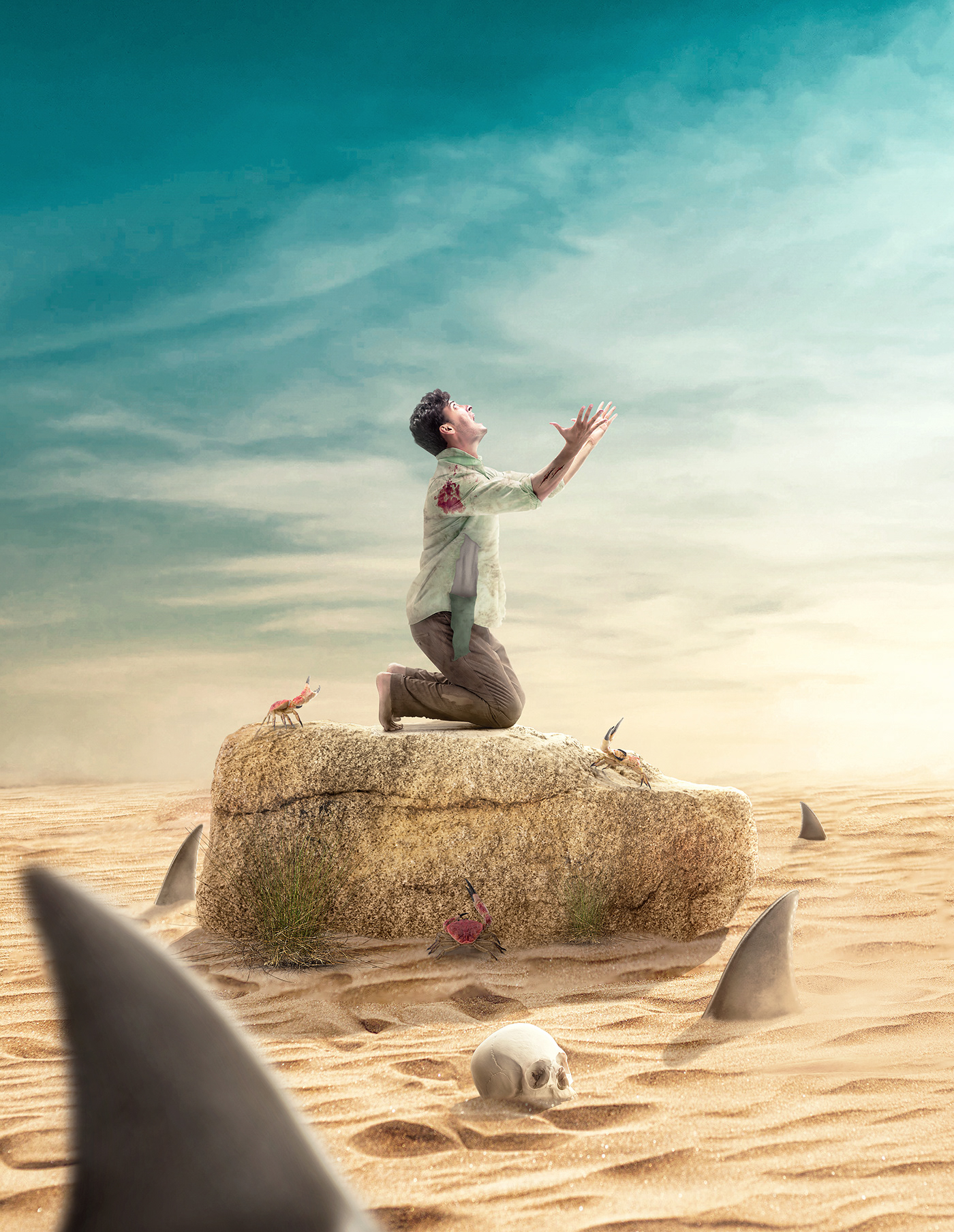 Advertising  art compositing desert digital hope manipulation retouch sea shark