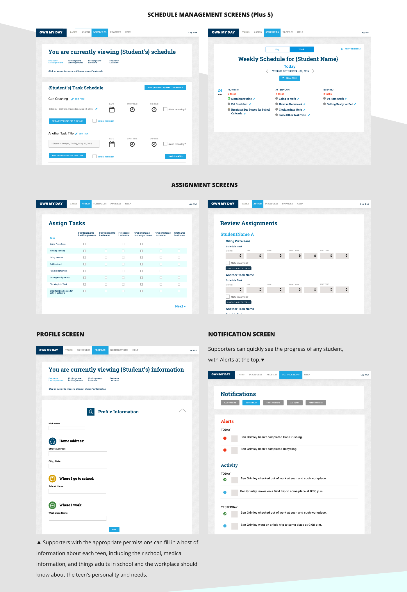 ui design Web Design  visual design web app information architecture 