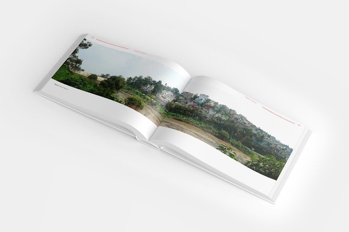 architecture book book cover editorial design  graphic design  ILLUSTRATION  Landscape Landscape Architecture  landscape book
