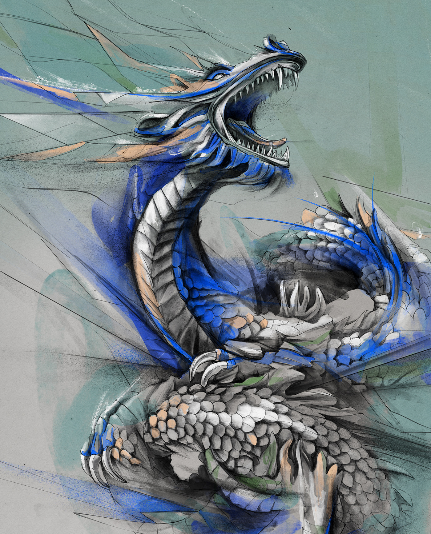 Drawing  sketch dragons Lunar New Year