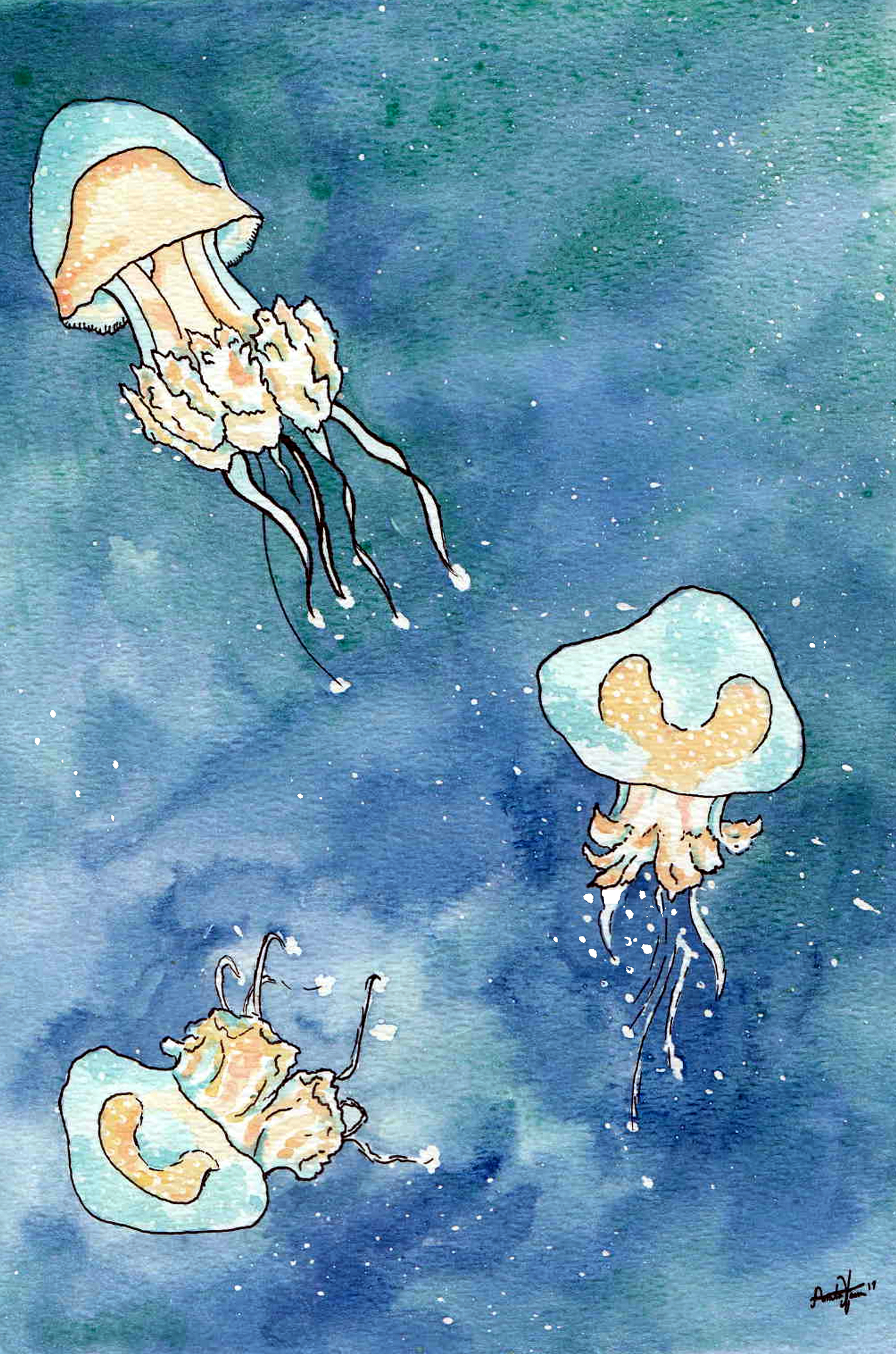 watercolor jellyfish Ocean sea aquarium fish Australian