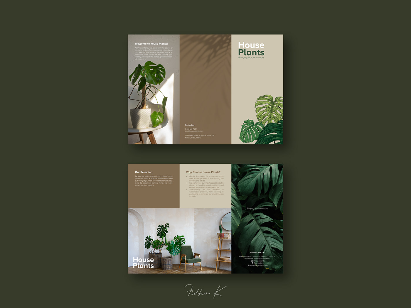 brochure design company profile graphic design  adobe illustrator indoor plant design branding  visual identity Social media post plants brochure