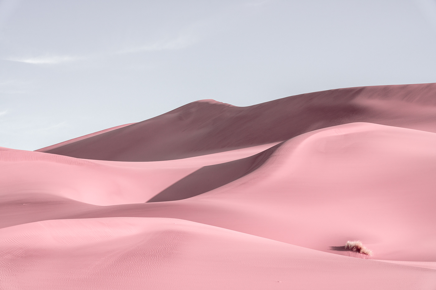 desert Jonas daley Magic Reality pink desert sand hill wallpaper 壁纸  粉色沙漠 魔幻现实 鸣沙山