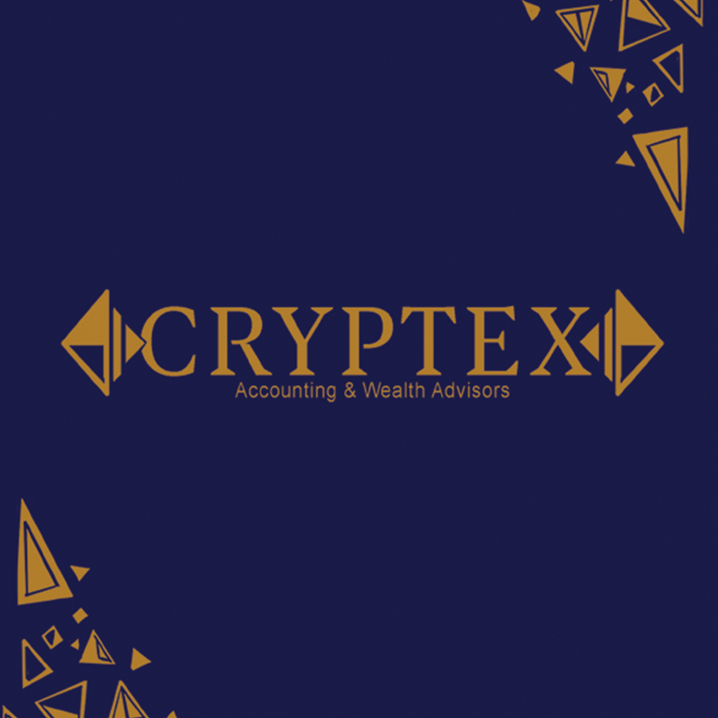 accounting logo branding  financial cryptex