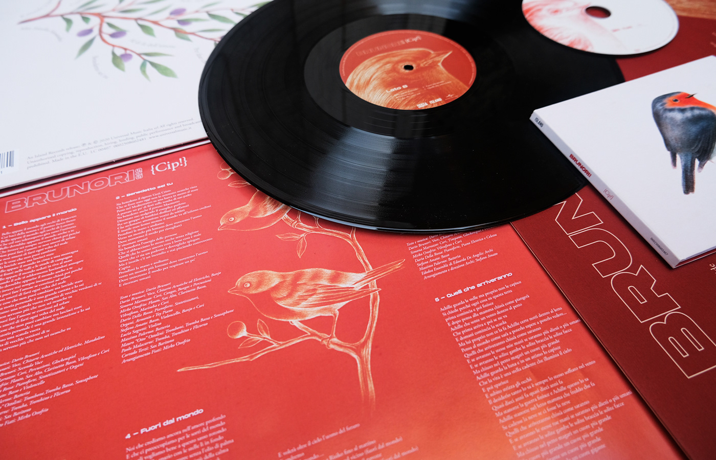 Album art direction  bird brunori sas cover graphic design  Music Artwork print design  spotify vynil