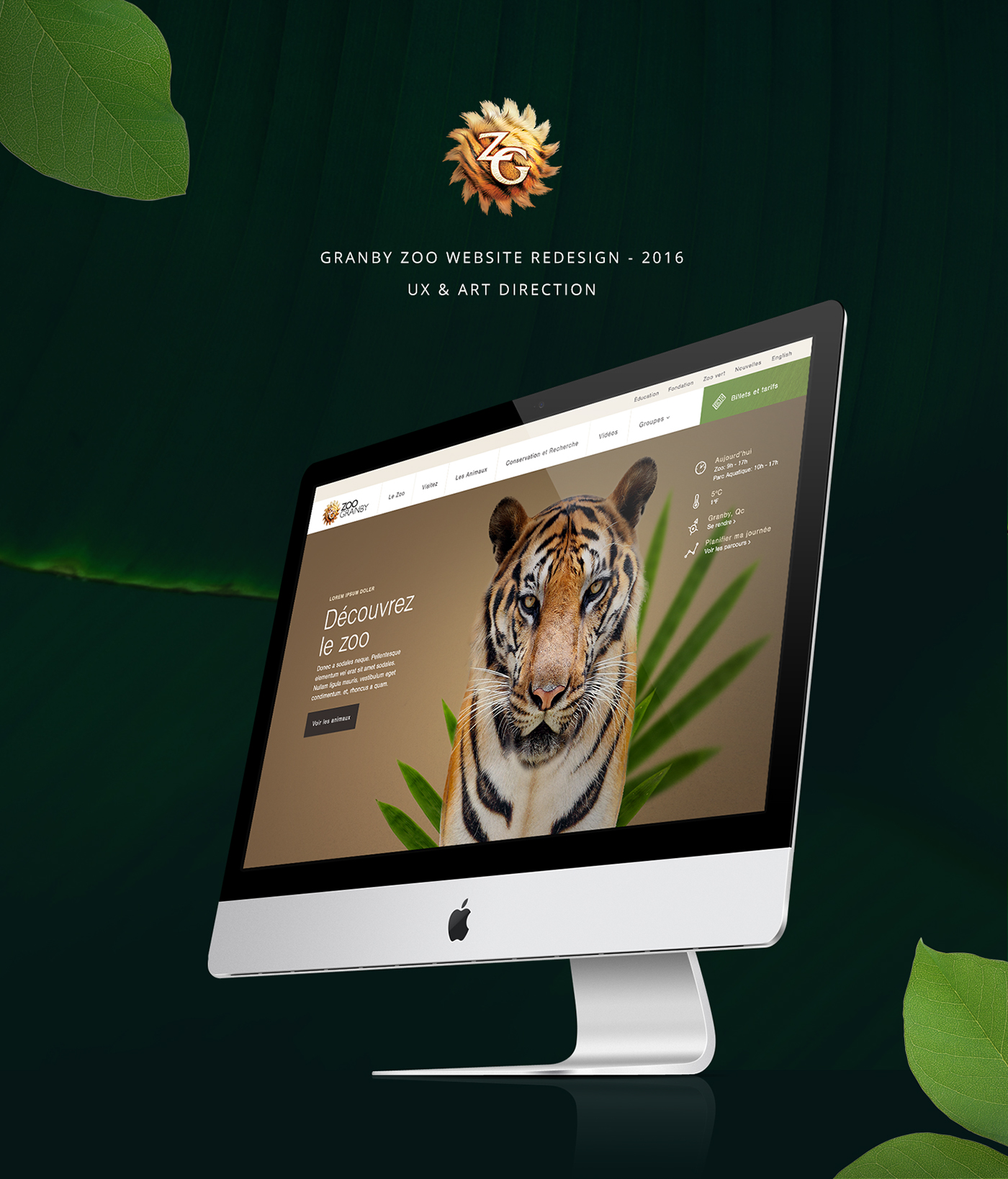 zoo animal Nature Responsive granby Website tourism Interface design tiger