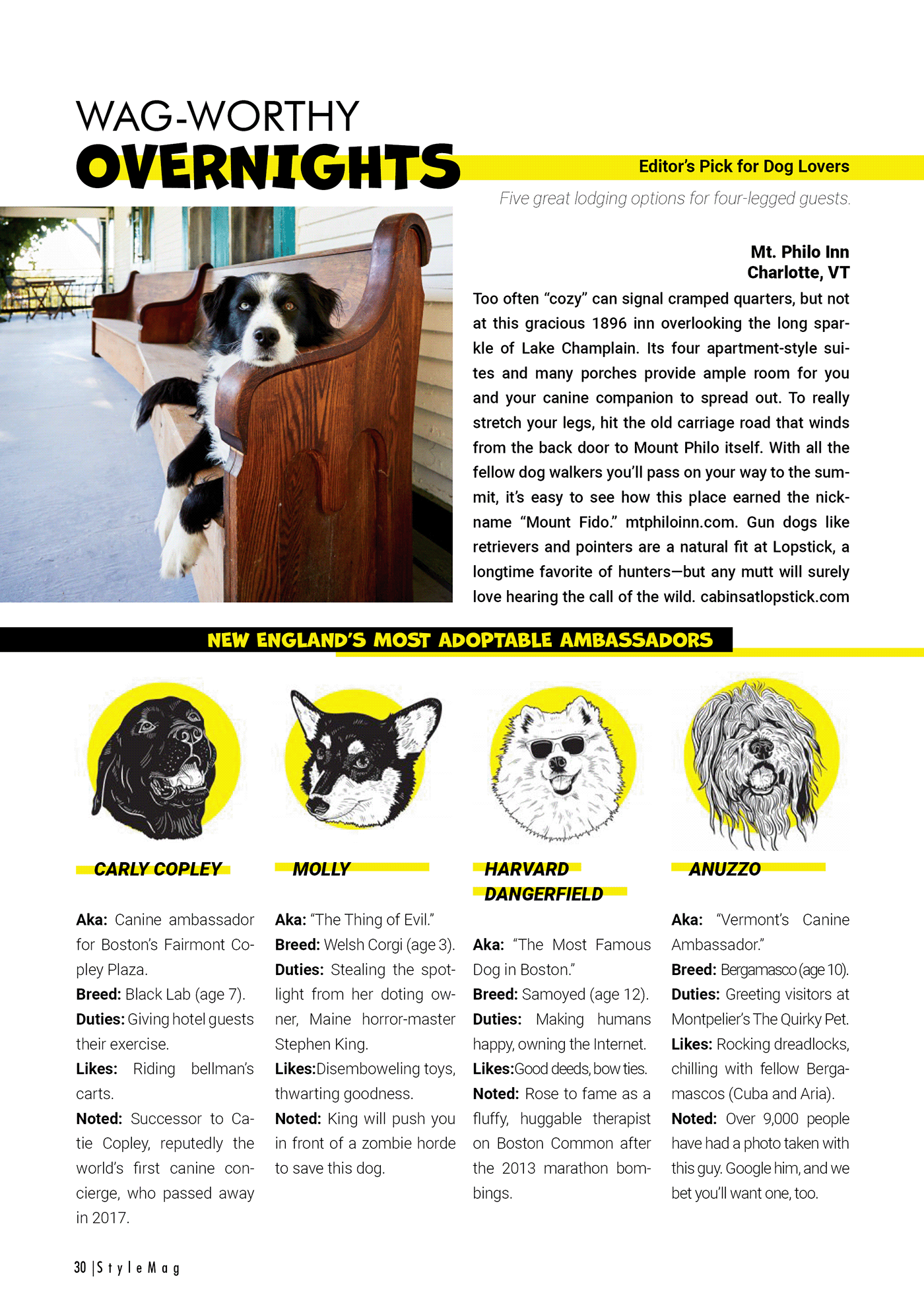 Pet animal design Graphic Designer yellow black dog