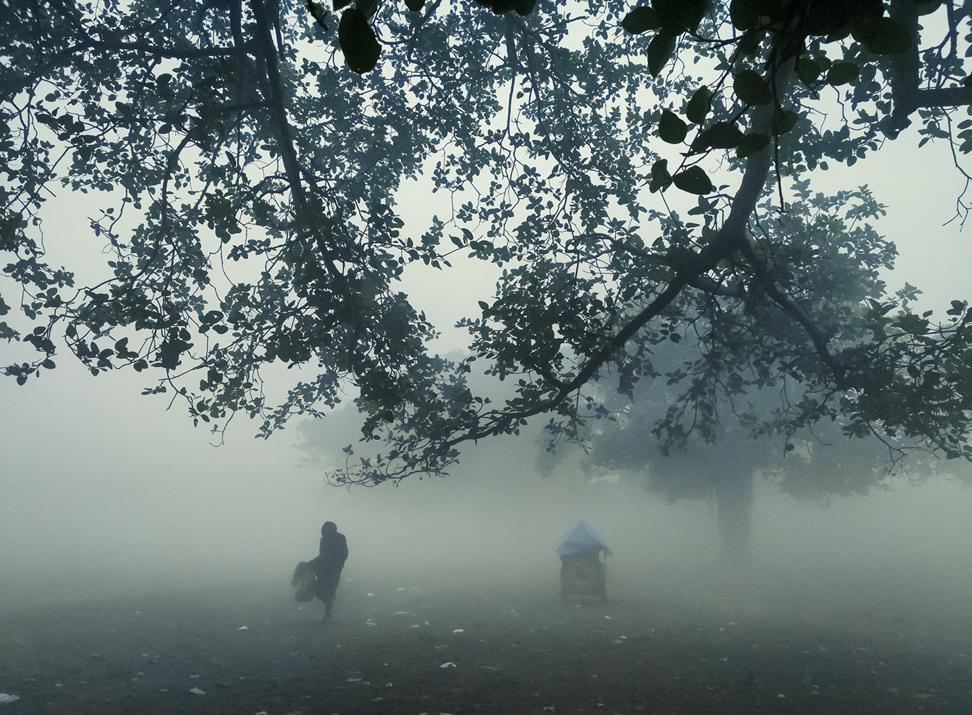 cityscape fog Kolkata mist MORNING people Street winter