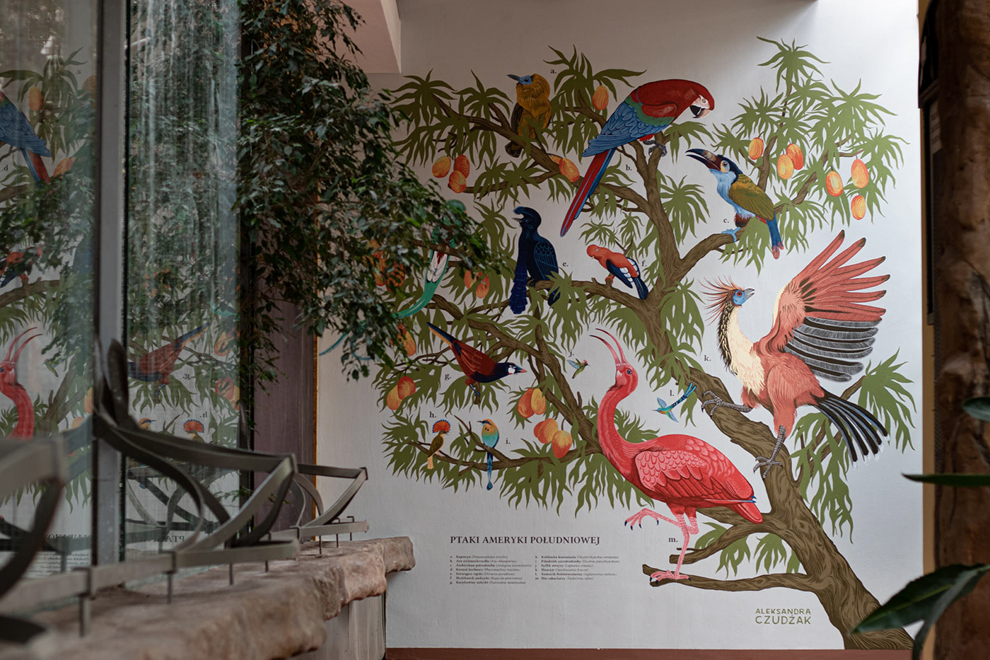 Aleksandra Czudżak bird birds interior painting Mural natural history ornithology wildlife zoo zoology