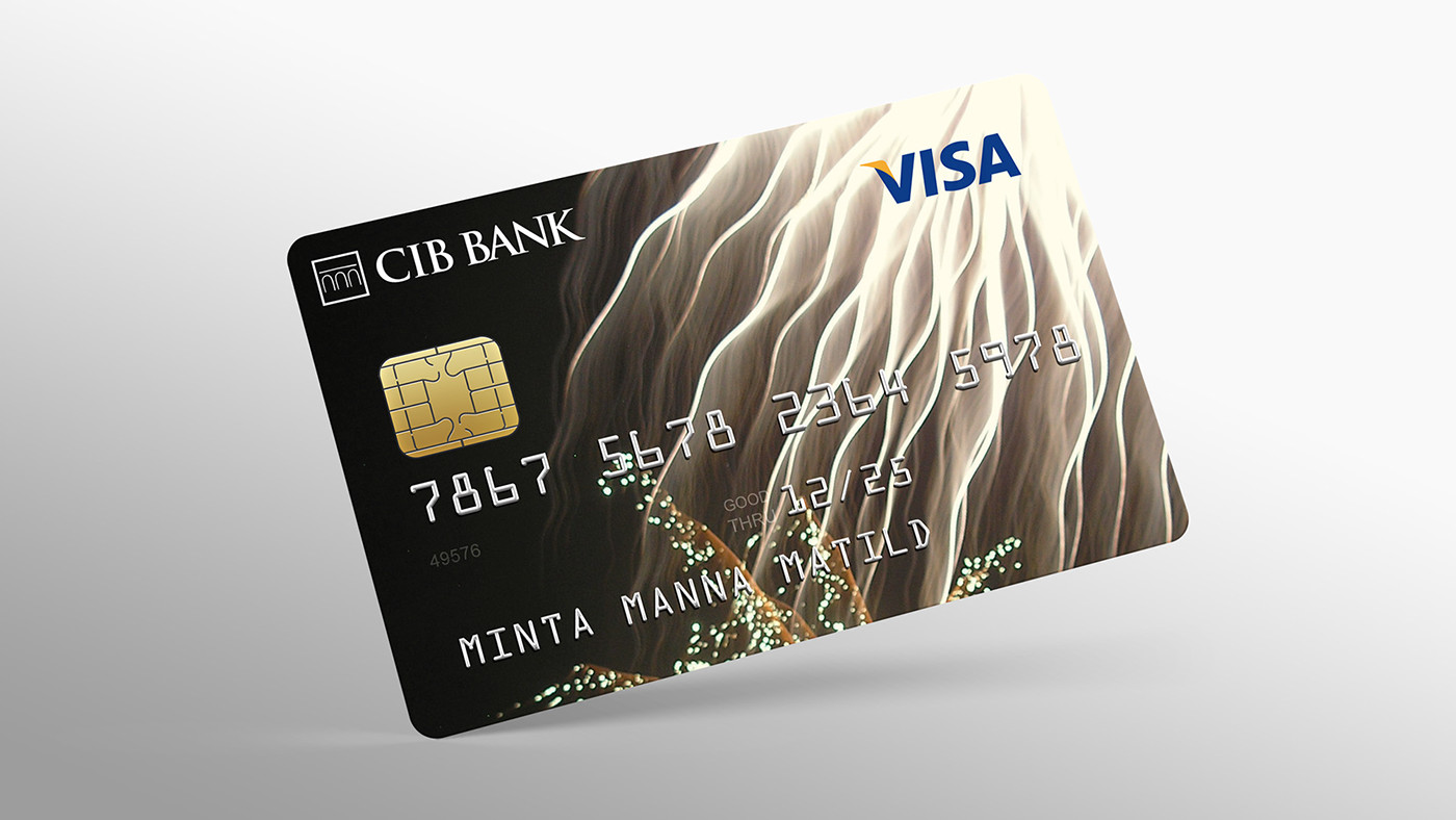 bank card internet card winner CIB Bank credit card Debit card Visa fireworks business building blocks