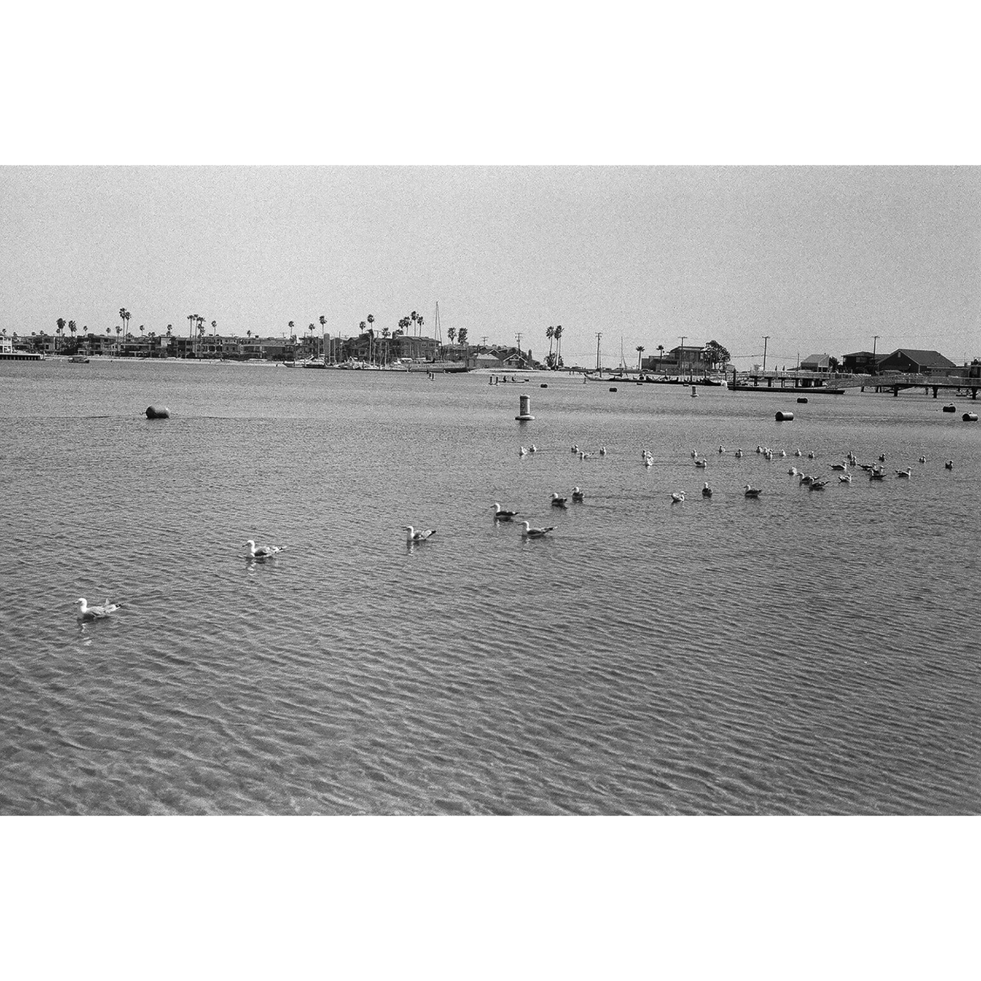 black and white canon AE1 LONGBEACH Snapshot Photography street photography