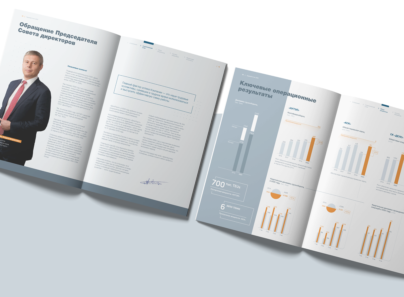 infographic design data visualization information design data visualisation print book design Graphic Designer vector Annual Report Infographic