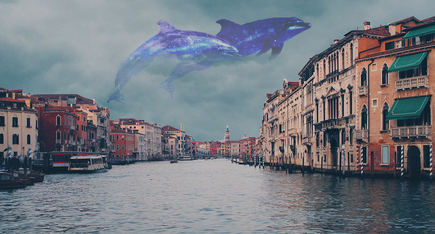 Dolphins fantasy graphicdesign Italy manipulation Photography  photoshop Venice Travel design