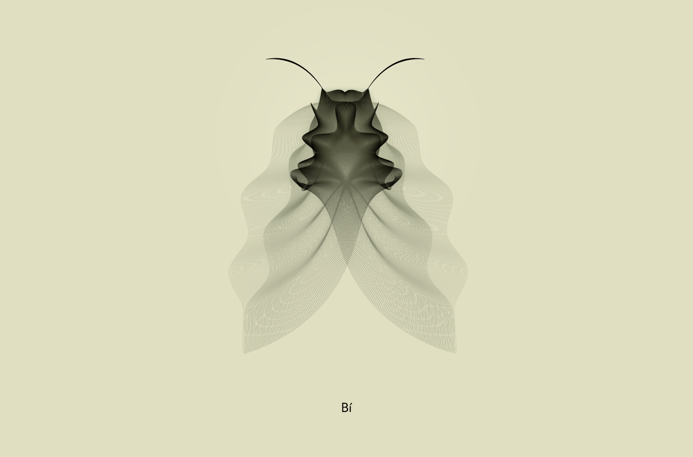 blend Illustrator skordyr djupur sjor Insects line art line trajlov generative art generative