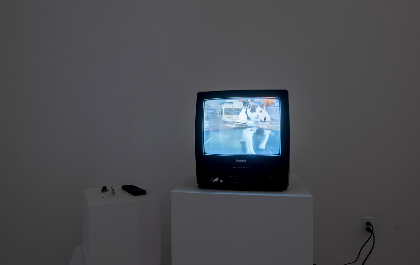 Image may contain: television, wall and computer monitor