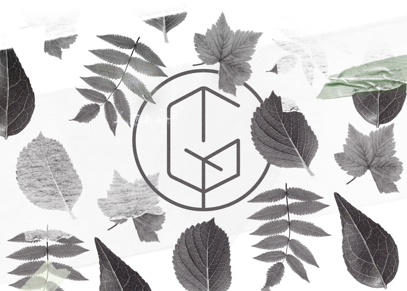 green home logo Brandin Nature leaf social media social Redes Sociais IDV identidade visual post Direção de arte Art Director design