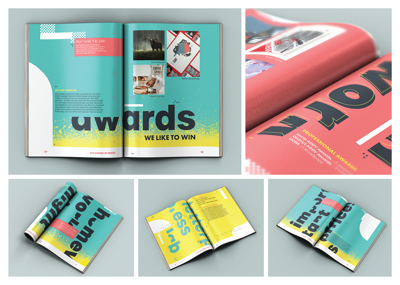 Guide Handbook InDesign Layout magazine Magazine design school typography  