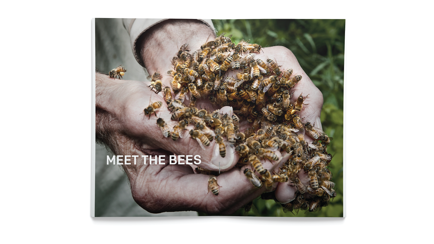 identity burt's bees stationary logo product print Booklet