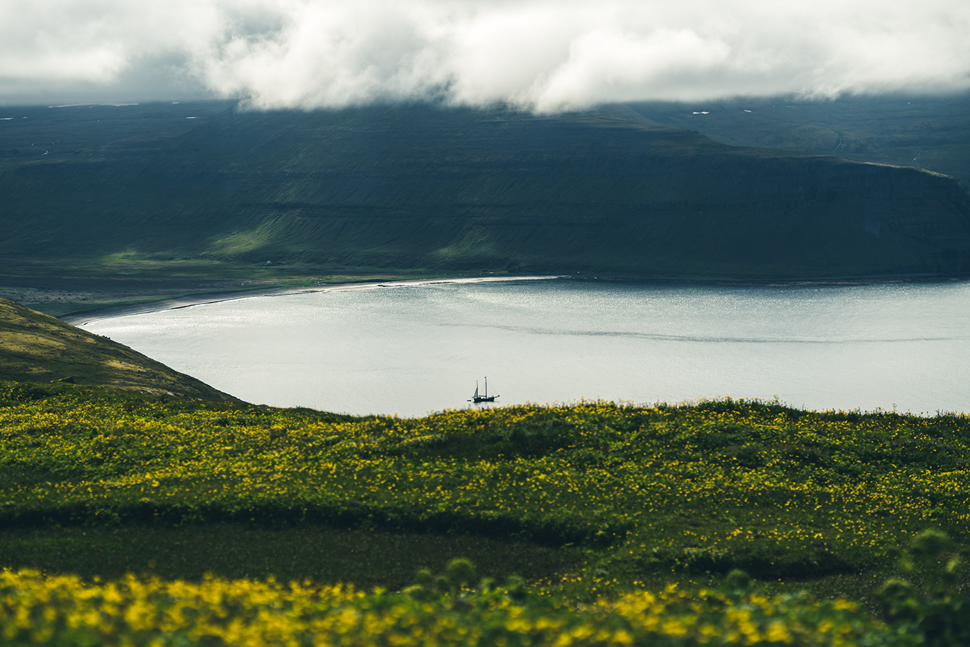 iceland Island fjords sailboat Nature Landscape Ocean birds cliffs summer