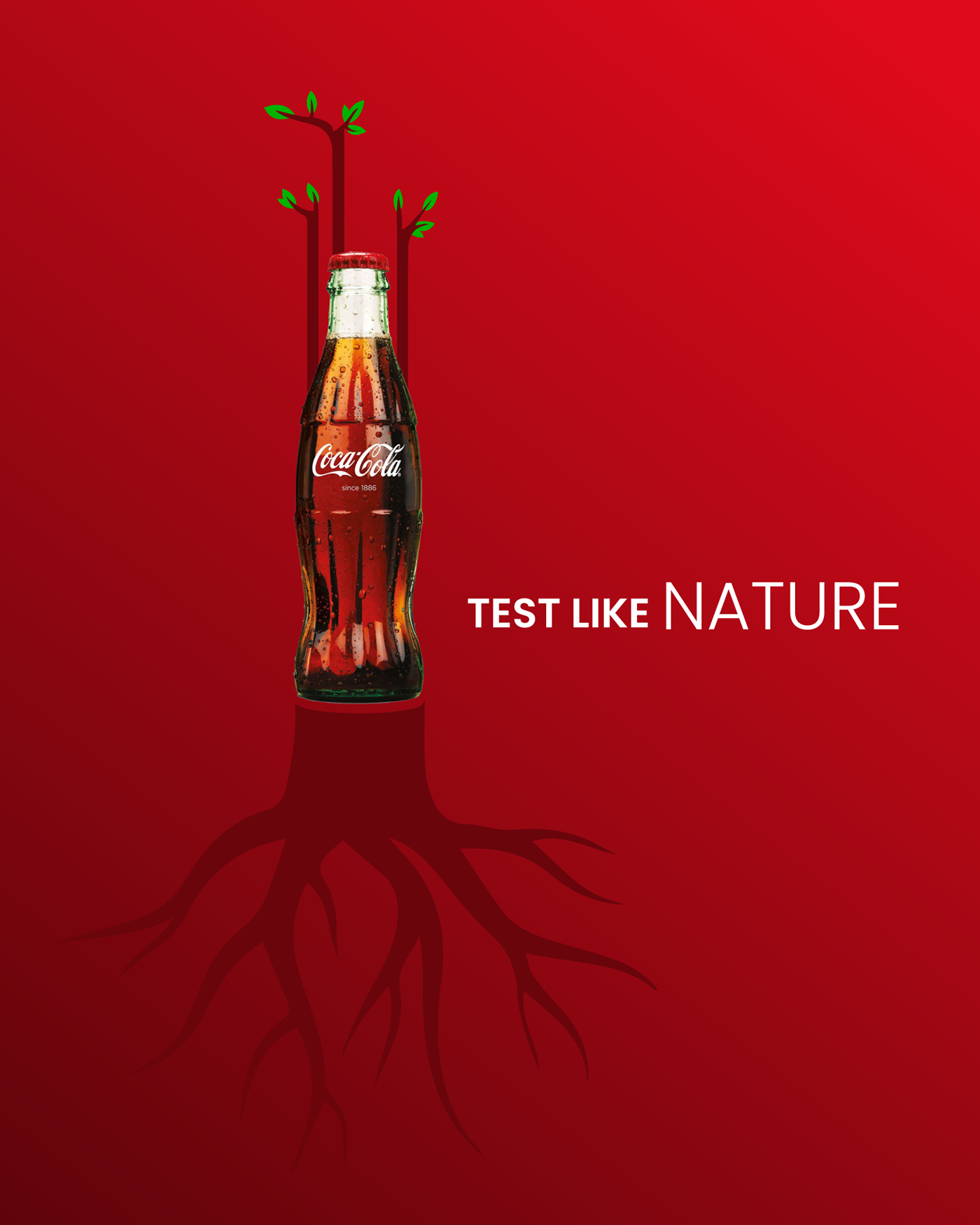 design Advertising  ads post Social media post Graphic Designer marketing   Coca Cola drink bottle