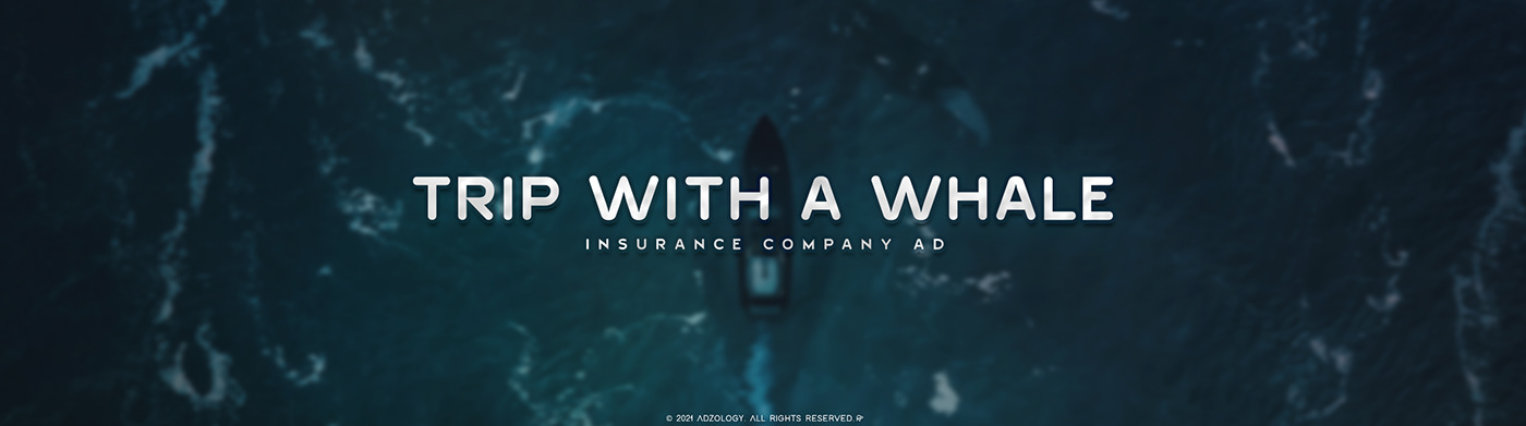 Advertising  design facebook instagram insurance company manipulation marketing   Social media post Socialmedia Whale
